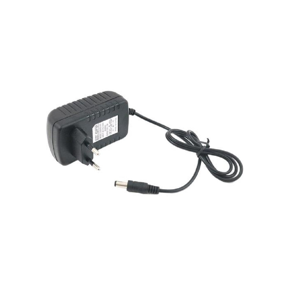 Alimentatore 12 volt 1 ampere universale per telecamere, led e molto altro